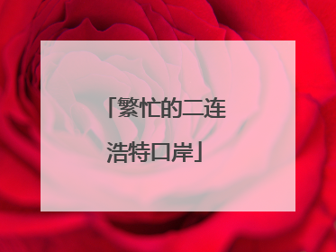 繁忙的二连浩特口岸